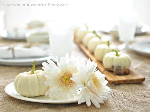 pretty {white} pumpkins